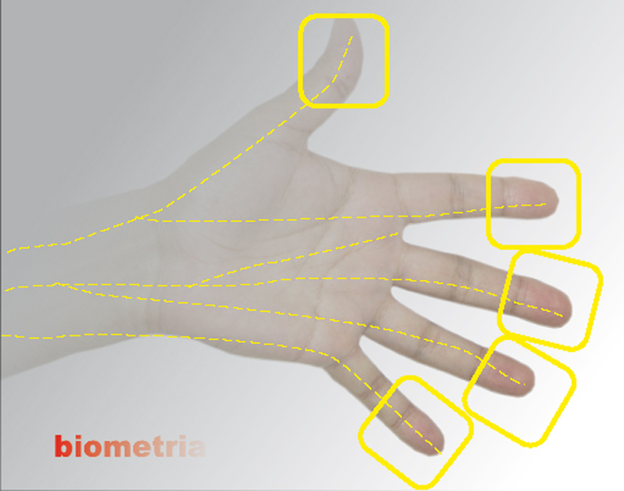 Biometria, to je optimistická budúcnosť Biometria, to je optimistická budúcnosť