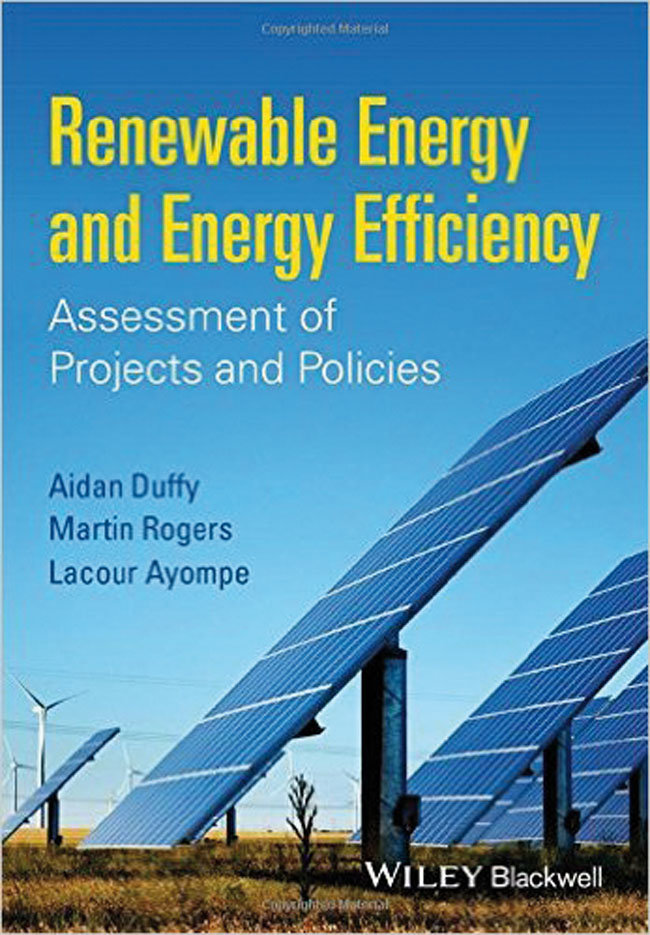 Renewable Energy and Energy Efficiency: Assessment of Projects and Policies