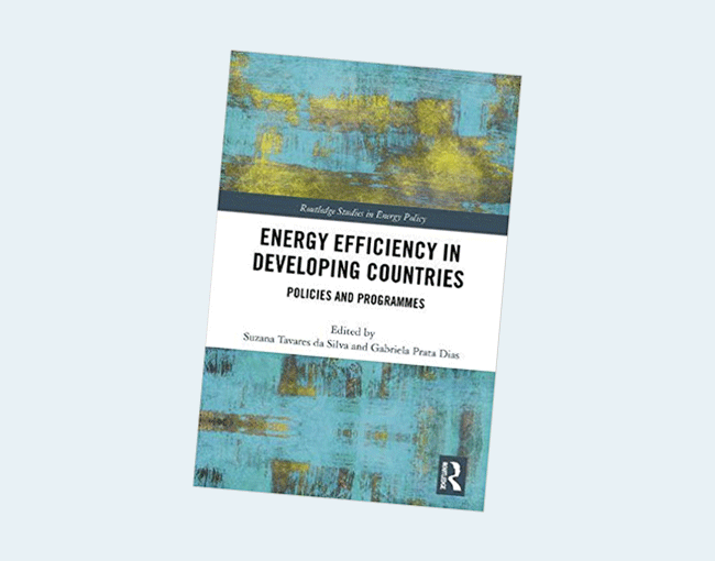 Energy Efficiency in Developing Countries: Policies and Programmes (Routledge Studies in Energy Policy) 1st Edition