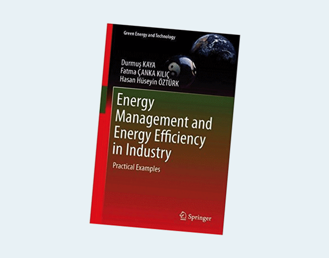Energy Management and Energy Efficiency in Industry: Practical Examples (Green Energy and Technology) 1st ed.