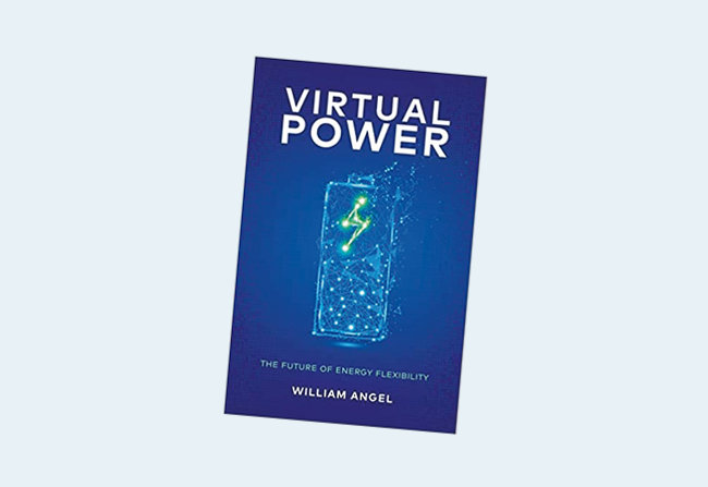 Virtual Power: The Future of Energy Flexibility