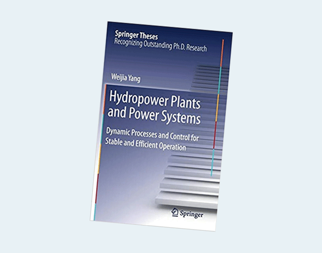 Hydropower Plants and Power Systems: Dynamic Processes and Control for Stable and Efficient Operation