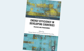 Energy Efficiency in Developing Countries: Policies and Programmes (Routledge Studies in Energy Policy) 1st Edition