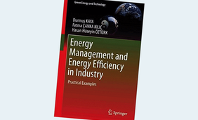 Energy Management and Energy Efficiency in Industry: Practical Examples (Green Energy and Technology) 1st ed.