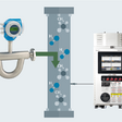 Endress+Hauser Raman Rxn5