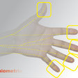Biometria, to je optimistická budúcnosť