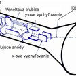Organické LED svetelné zdroje – nová epocha v zobrazovacích technikách