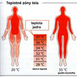 Obr. 1a Teplotné zóny v tele človeka a výmena tepla medzi tepnami a žilami