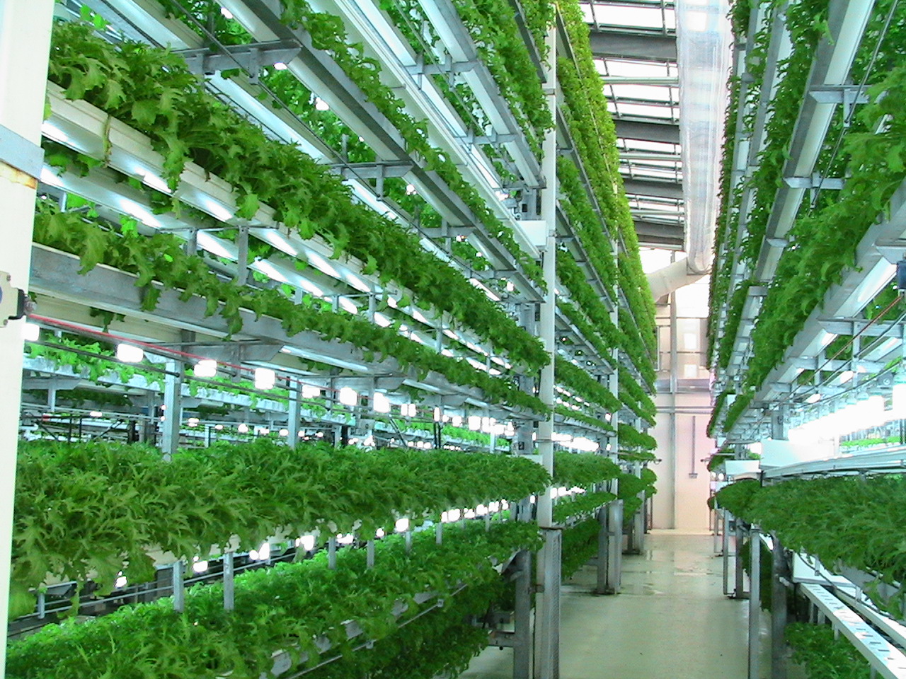 Obr. 1: Príklad moderného hydroponického systému s umelým prisvetľovaním