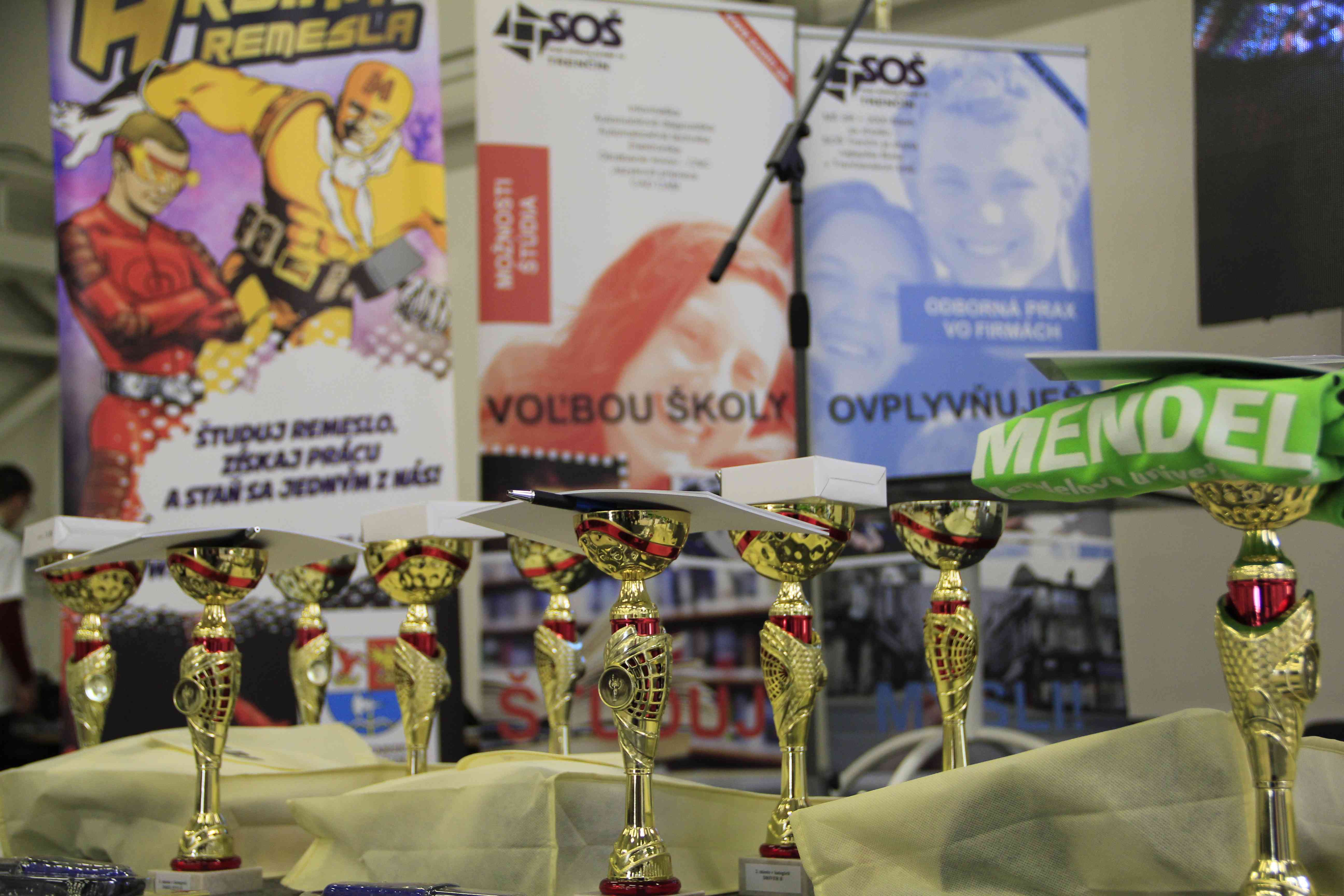 Trenčiansky robotický deň 2015 - TRD_2015_15