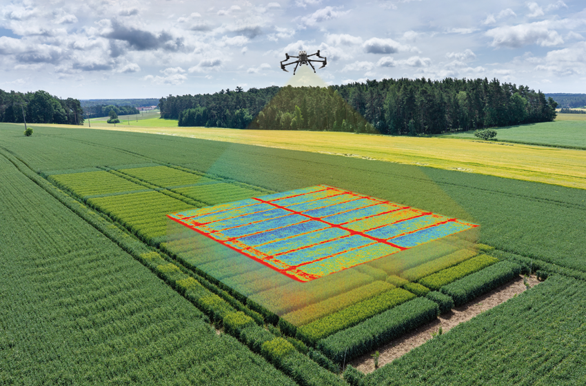 Údaje a technológie v presnom poľnohospodárstve: kľúčová úloha dronov a satelitov