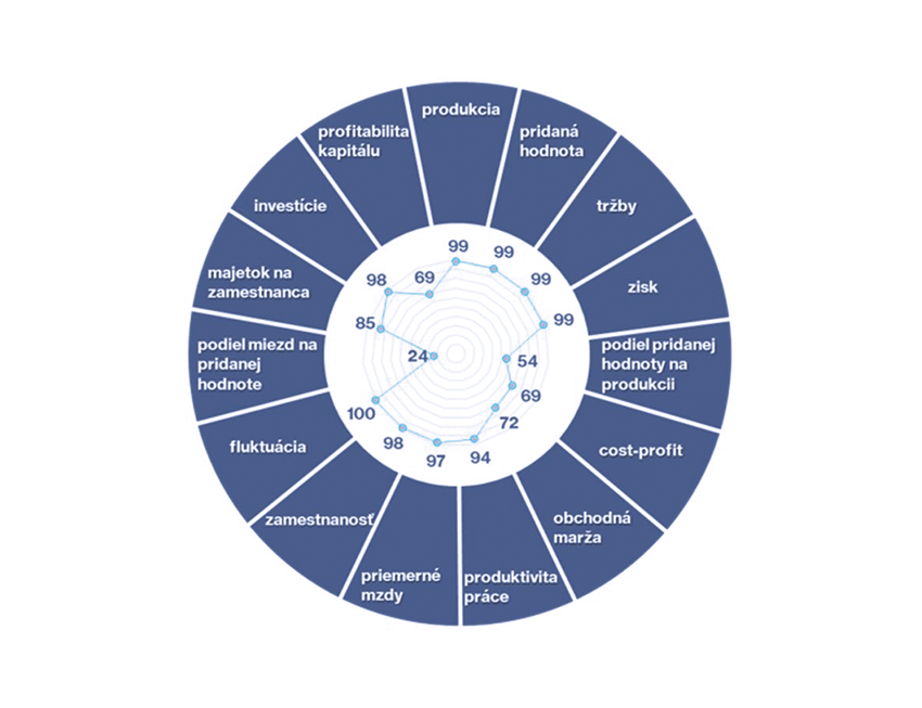 Obr. 3 CompanIQ – analytický prehľad firmy