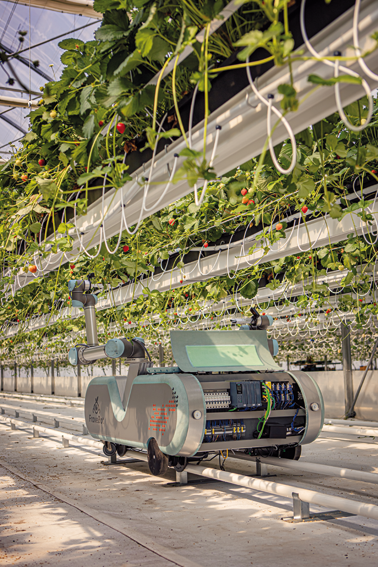 Roboty trénujú zber paradajok a jahôd v prostredí omniverse