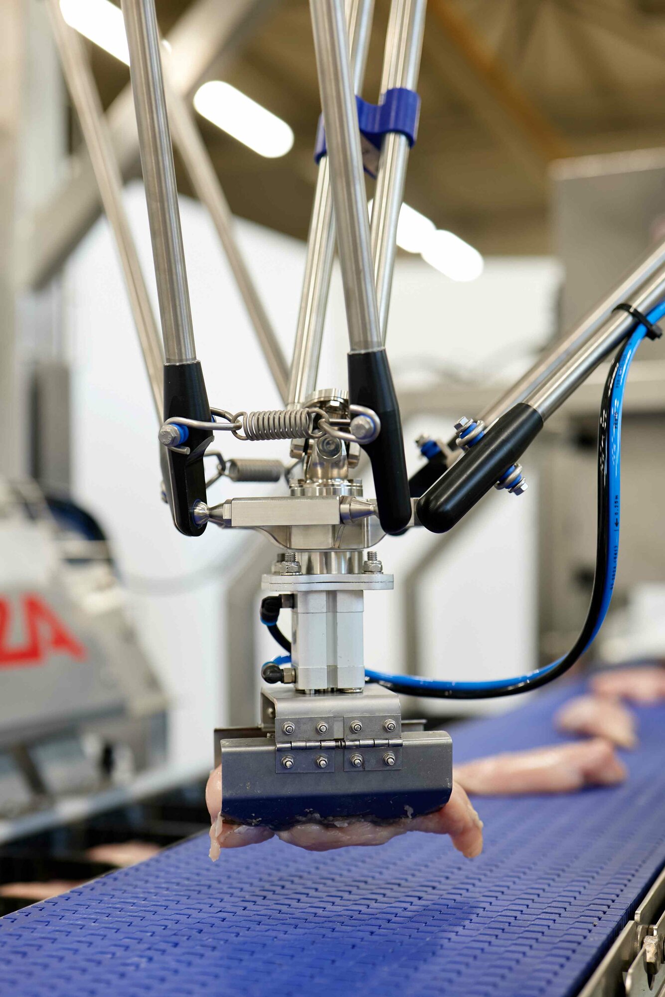 Presné balenie mäsa s robotmi Codian od B&R 