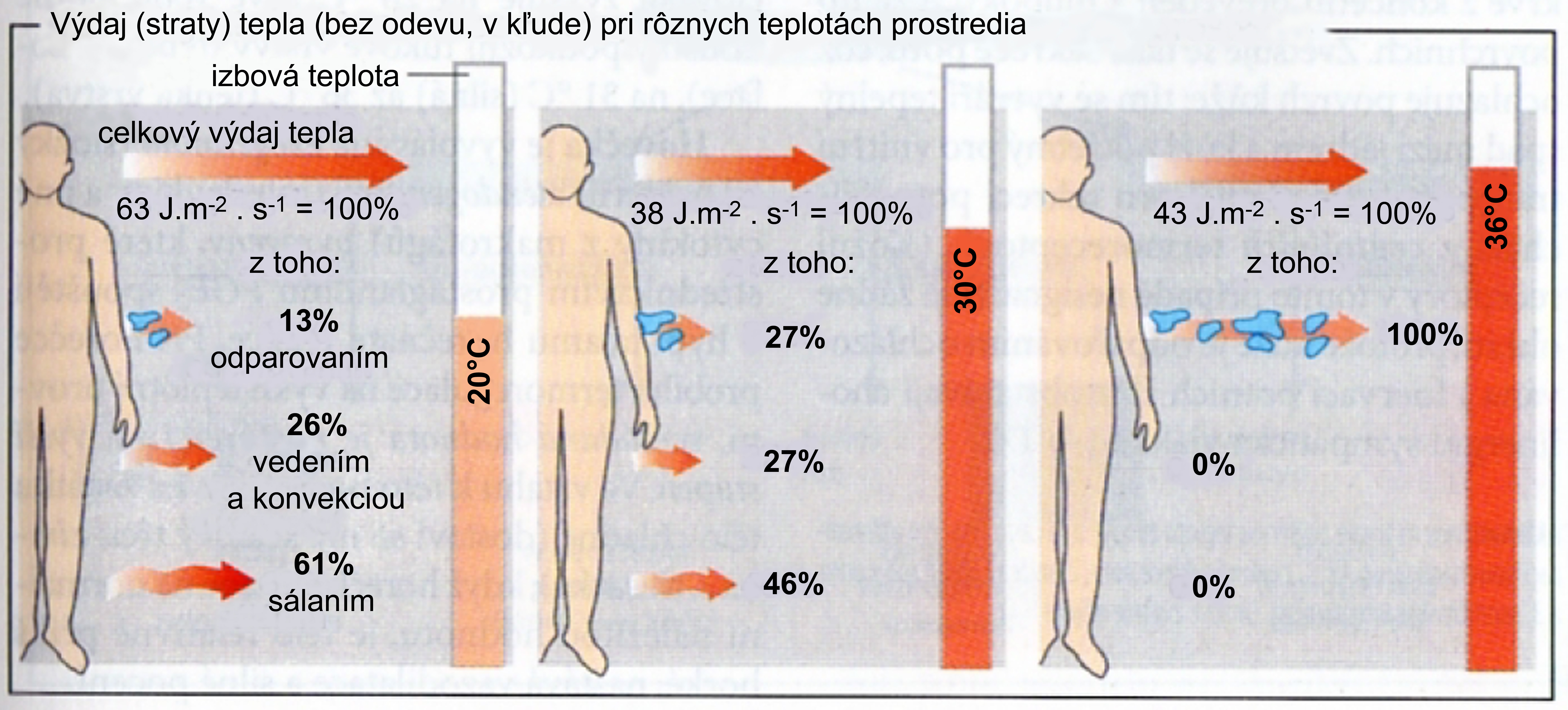 Obr. 2 Mechanizmy výdaja tepla organizmom človeka pri rôznych teplotách prostredia