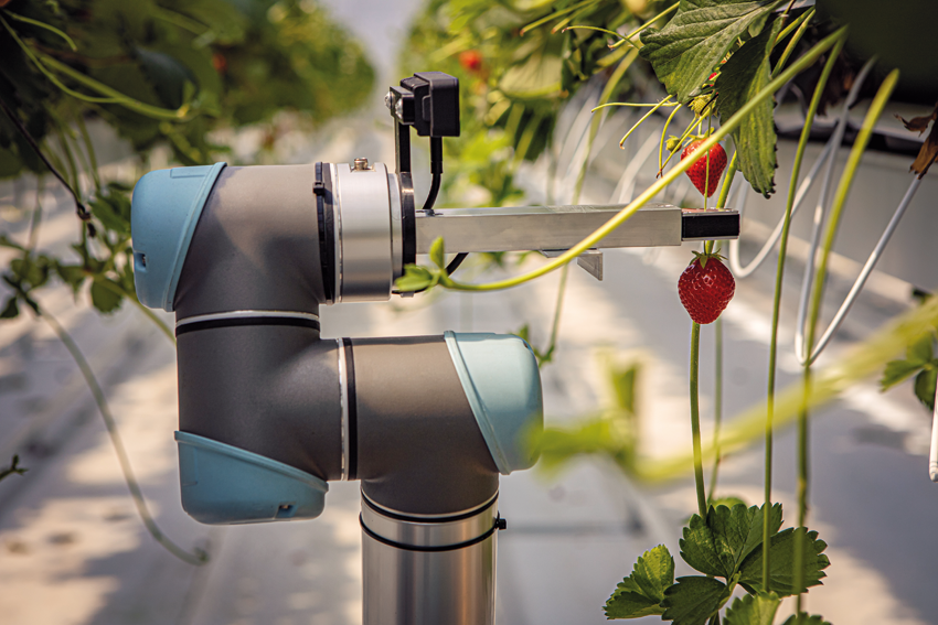 Roboty trénujú zber paradajok a jahôd v prostredí Omniverse
